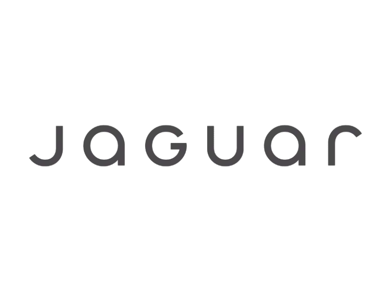 Logo gris Jaguar optique